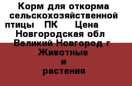 Корм для откорма сельскохозяйственной птицы — ПК-6 › Цена ­ 32 - Новгородская обл., Великий Новгород г. Животные и растения » Аксесcуары и товары для животных   . Новгородская обл.,Великий Новгород г.